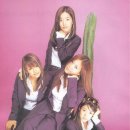 핑클 이미지