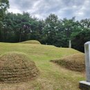 정유선생묘 이미지