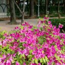 협화경로당 이미지