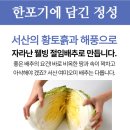 쌈지보령