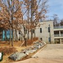 푸른도서관 이미지