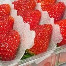 후피케이크 이미지