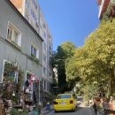 지한약국 이미지