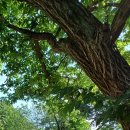 사기막 농장 이미지