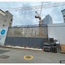 아델리아 이미지