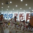 해인태권도 이미지
