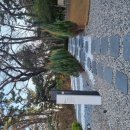 청산1954 이미지