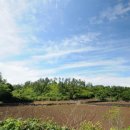 김앤김공인중개사사무소 이미지