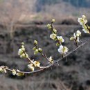 율어농장 이미지