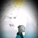 나를 갈무리 하다 이미지