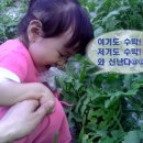 동촌 농장 이미지