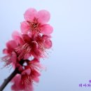 장원목장 이미지