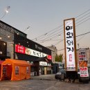 위드미 성서호림점 | 대구 애견동반 고기집 분위기 좋은 텐트석 "야외돼지 성서점"