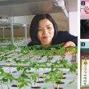 스마트농장 이미지