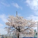 설악유리 이미지