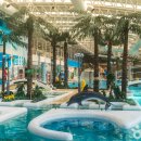 단양생태체육공원 2 이미지