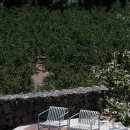 재재소소 이미지