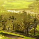 윤스골프 이미지