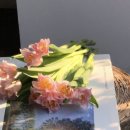 세느앤발렌 이미지