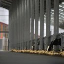 선진목장 이미지