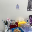 엘속눈썹 | 천안속눈썹 엘블링 재방문 후기