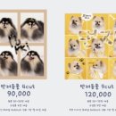 블루룸스튜디오 네이버블로그