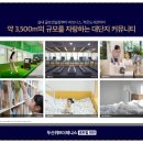 제니스약국 이미지