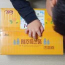 인터넷 귤주문 하윤이네농장 제주귤 노지귤 밀감 후기