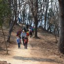 봉화산 민박 이미지