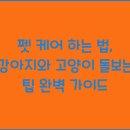 강아지와 고양이 이미지