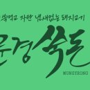 문경쑥돈