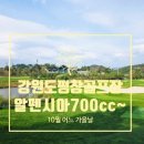 평창알펜시아공인중개사사무소 | [강원도 평창 골프장]♥알펜시아700cc♥양잔디에 코스관리가 잘되어 있는 가성비 좋은 골프장에서, 가을...