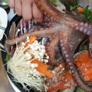 장안바다향 이미지