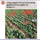 전남농약사 이미지