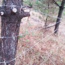 아름드리목장 이미지