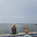 아담파크 | 시흥 거북섬 웨이브파크 카라반 서울 근교 캠핑장 추천 글램핑장 숙박 후기