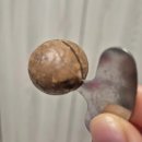 바닐라 PC | [간식공유] 호주 골든 크런치 바닐라 마카다미아 : 베트남 여행에서 만난 인생 견과류, 직구 성공!