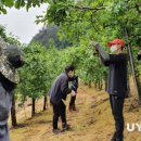 봉성면사무소 이미지