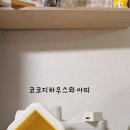 캐롤하우스 | 아이 언어발달에 도움을 주는 아기장난감 여기있어요, 코코지하우스 사용후기
