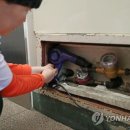 서울헤어뉴스