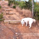 신안목장2 이미지