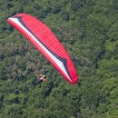 버드스쿨 이미지