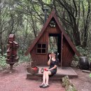 UR(제주시)-[용고로]-하-22 | 제주, 여름 안에서(2)