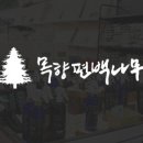 목향편백