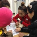 오픈케어 이미지