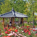 장미정원 이미지