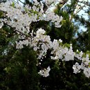 호수언저리 이미지