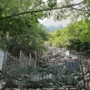 얼음골 봄 이미지