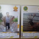 무학사슴농장 이미지