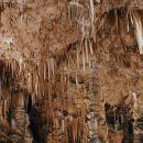 뿌리깊은우리역사 이미지